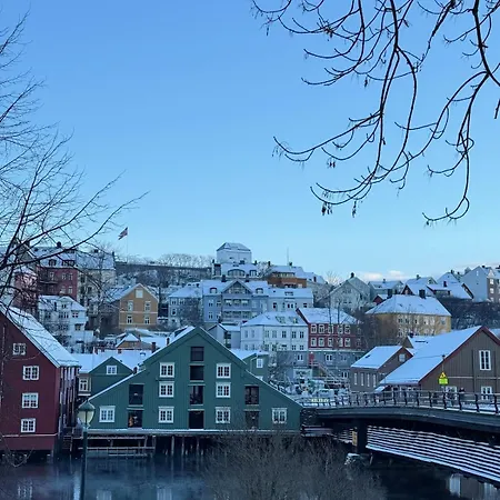 公寓 Cozy Flat In Bakklandet, Cathedral View ! Free Parking *